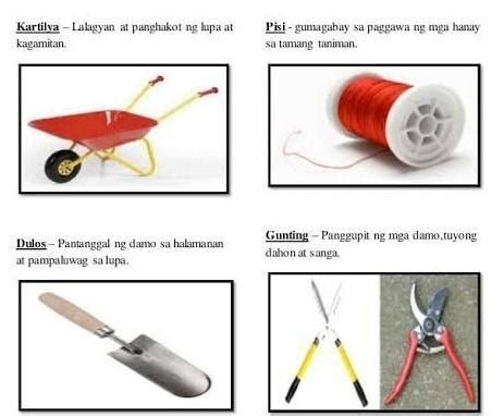 pisi tagalog